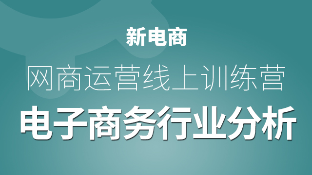 网商运营线上体验课电子商务行业分析